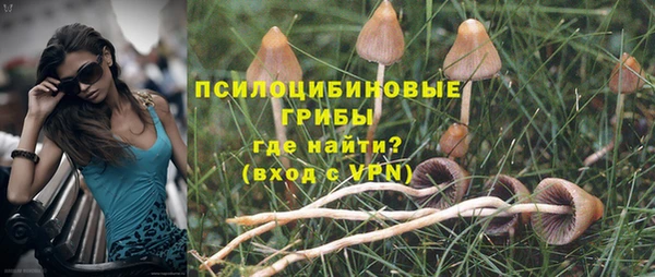 мескалин Абаза